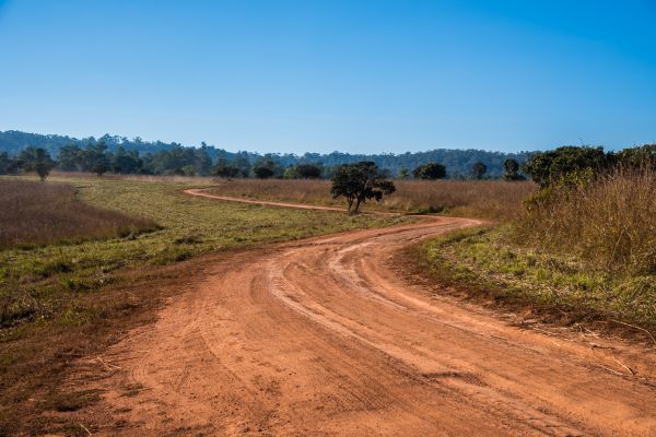 Dirt Driveway Repair in Rochester