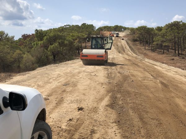 Cost of Driveway Grading in Rochester