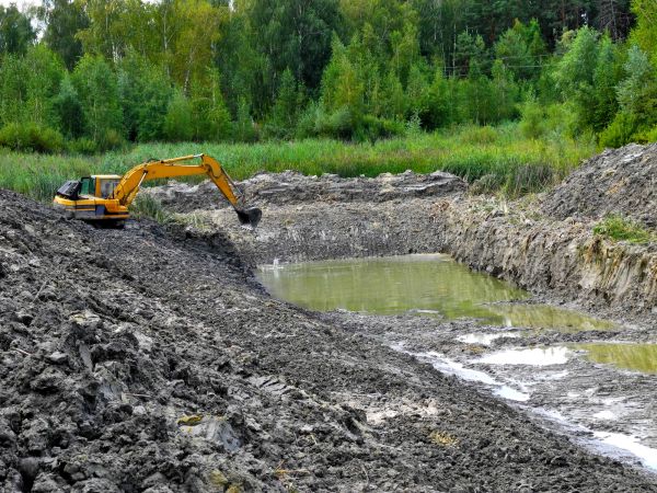 Cost of Fish Pond Digging in Rochester