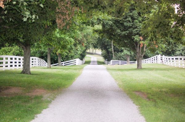 Gravel Driveway Construction in Rochester
