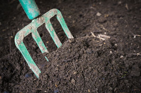 Topsoil Spreading in Rochester