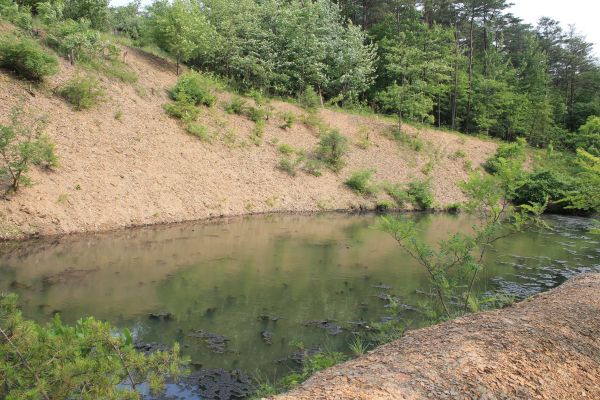 Pond Erosion Repair in Rochester