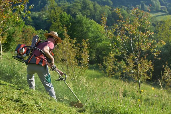 Cost of Slope Trimming in Rochester